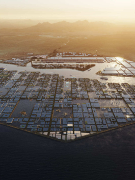 neom-green-hydrogen-investment-image